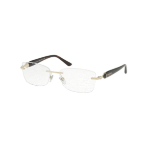 Bvlgari Frame 2190B 278